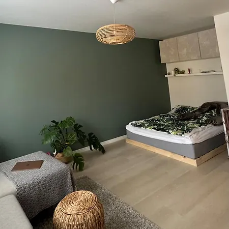 Laehellae Keskustaa Апартаменты *