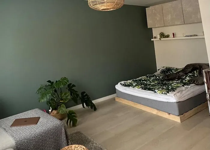 Laehellae Keskustaa 公寓 *