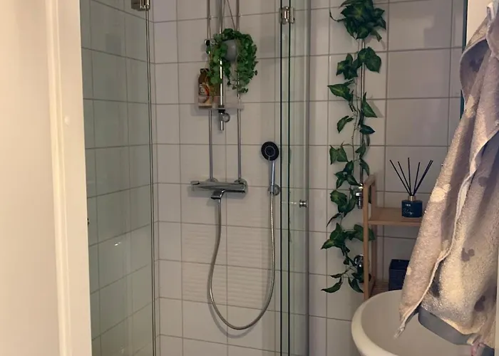 Laehellae Keskustaa 公寓 卡亚尼